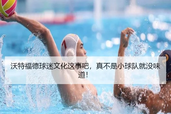 沃特福德球迷文化这事吧，真不是小球队就没味道！