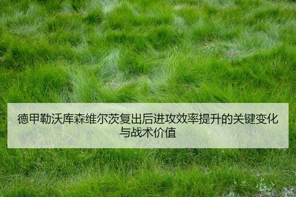 德甲勒沃库森维尔茨复出后进攻效率提升的关键变化与战术价值