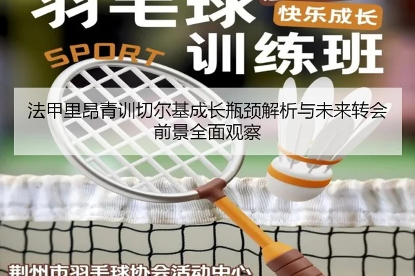 法甲里昂青训切尔基成长瓶颈解析与未来转会前景全面观察