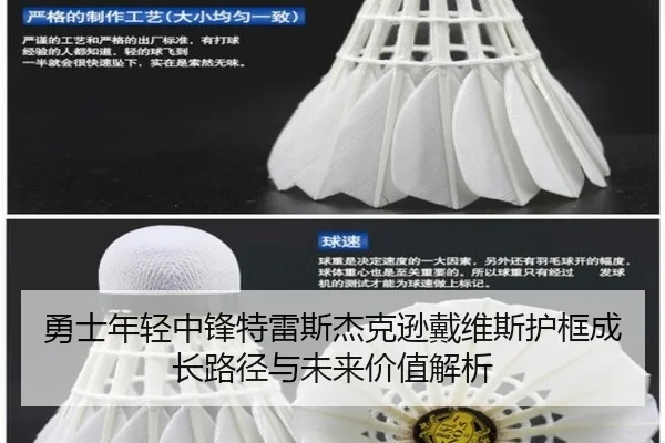勇士年轻中锋特雷斯杰克逊戴维斯护框成长路径与未来价值解析