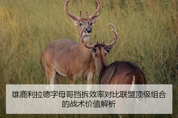 雄鹿利拉德字母哥挡拆效率对比联盟顶级组合的战术价值解析