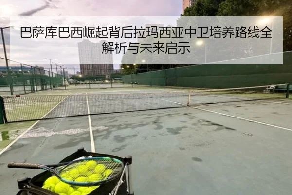img_1781733978305_2617_1_217.jpg